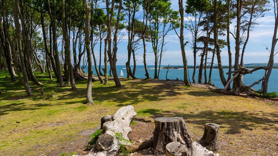 esl-Bournemouth-language-stay-2