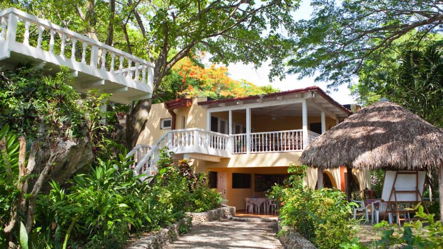 IIC (Instituto Intercultural del Caribe) School Gallery 458 1